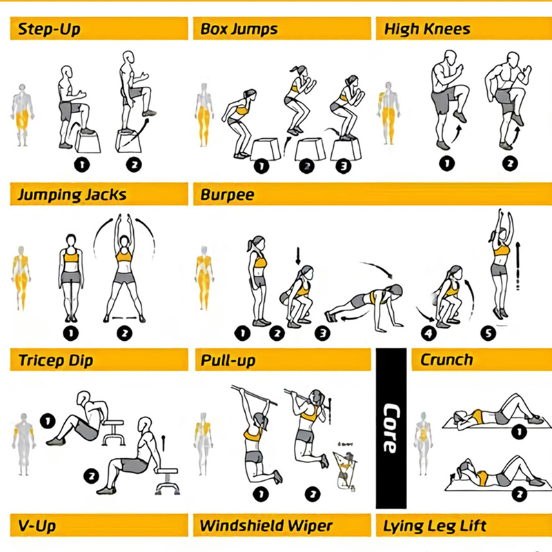 Workout Exercise Chart Posters - Sports Equipment Poster review and price